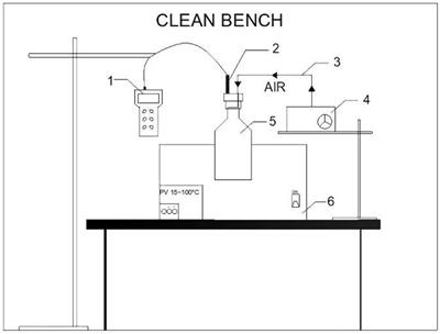 Saturated Dissolved Oxygen Concentration in in situ Fragmentation Bioleaching of Copper Sulfide Ores